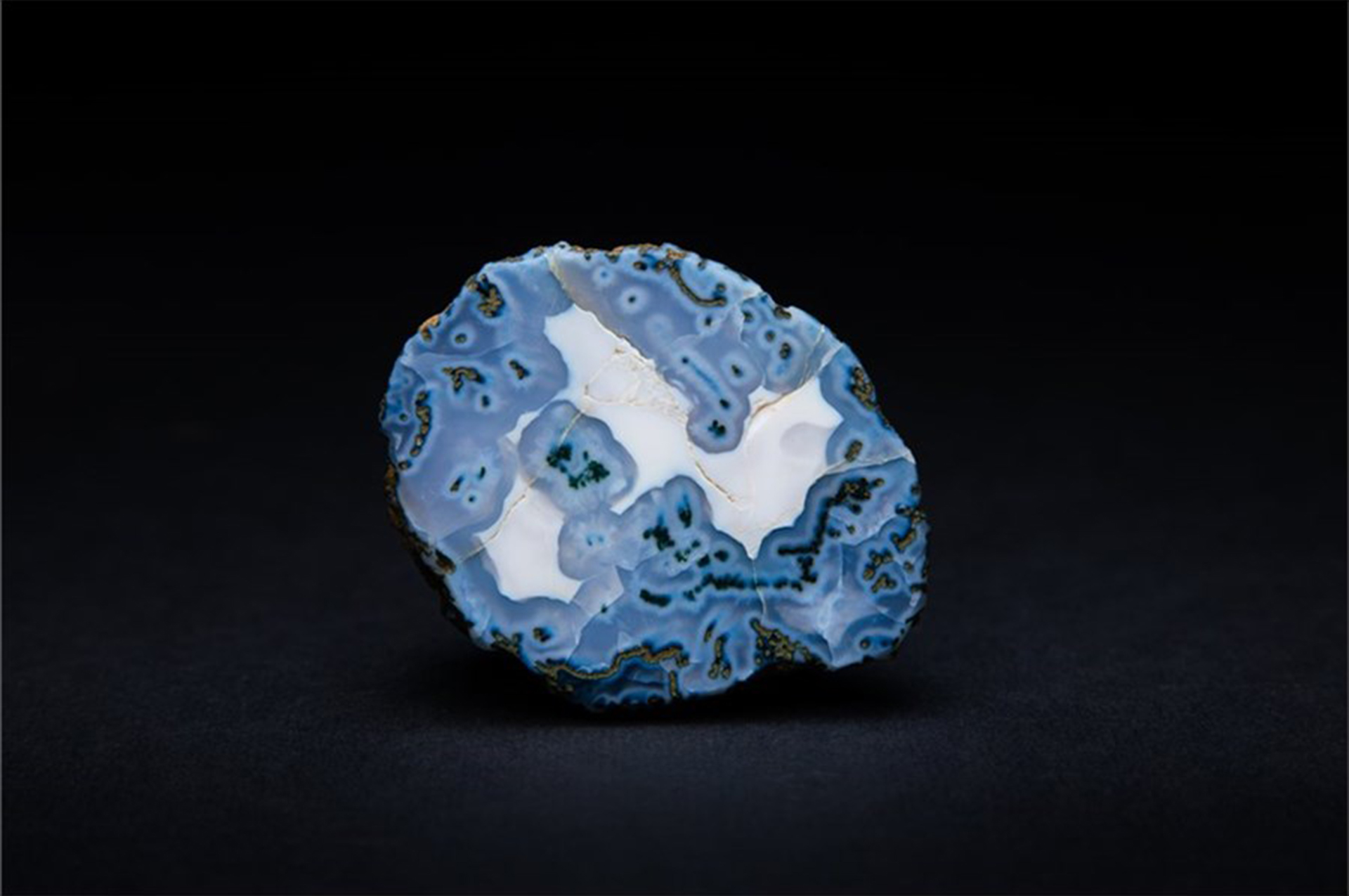 Илья Матушкин, фотокаталог музея GEOS