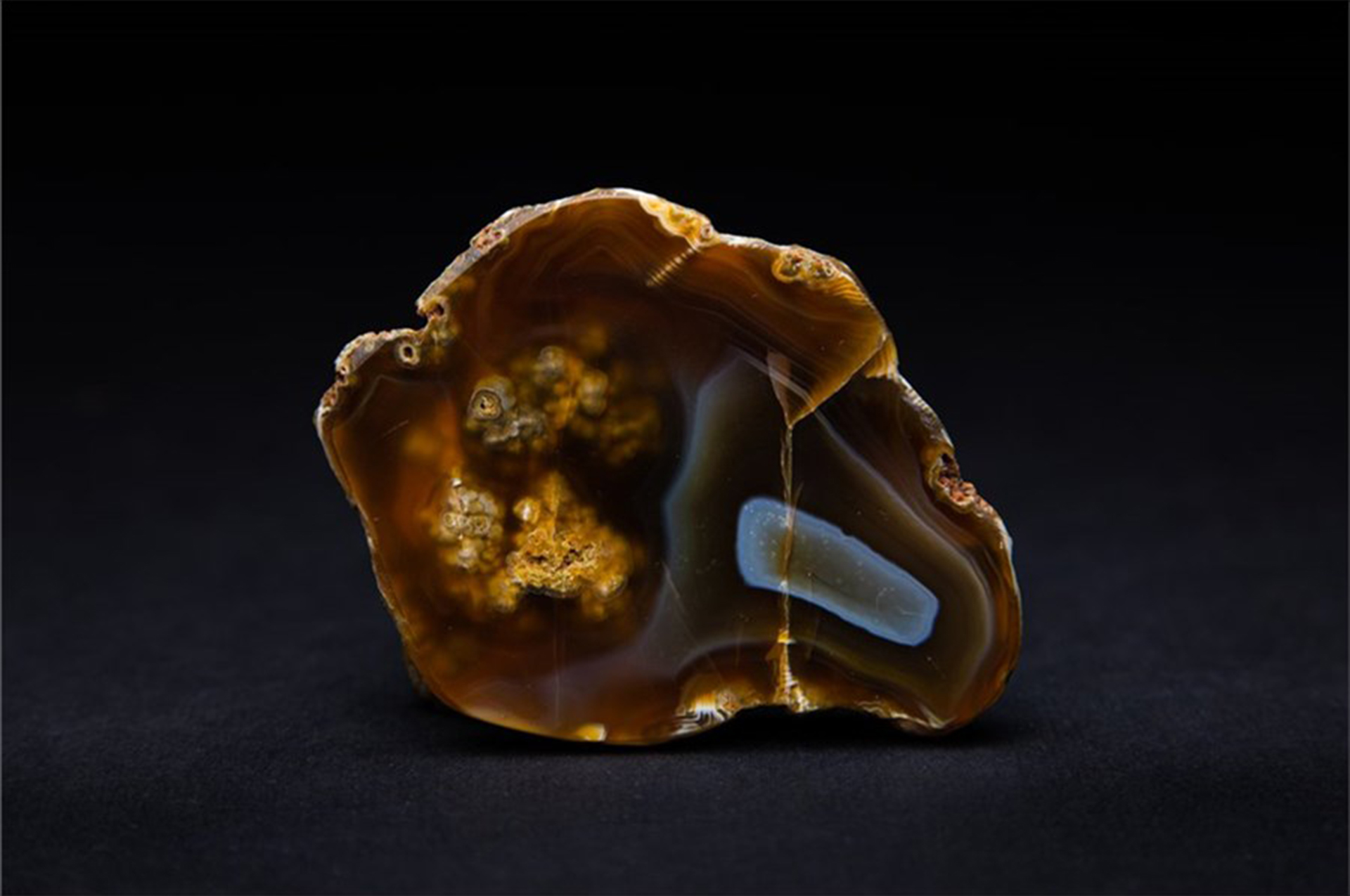 Илья Матушкин, фотокаталог музея GEOS