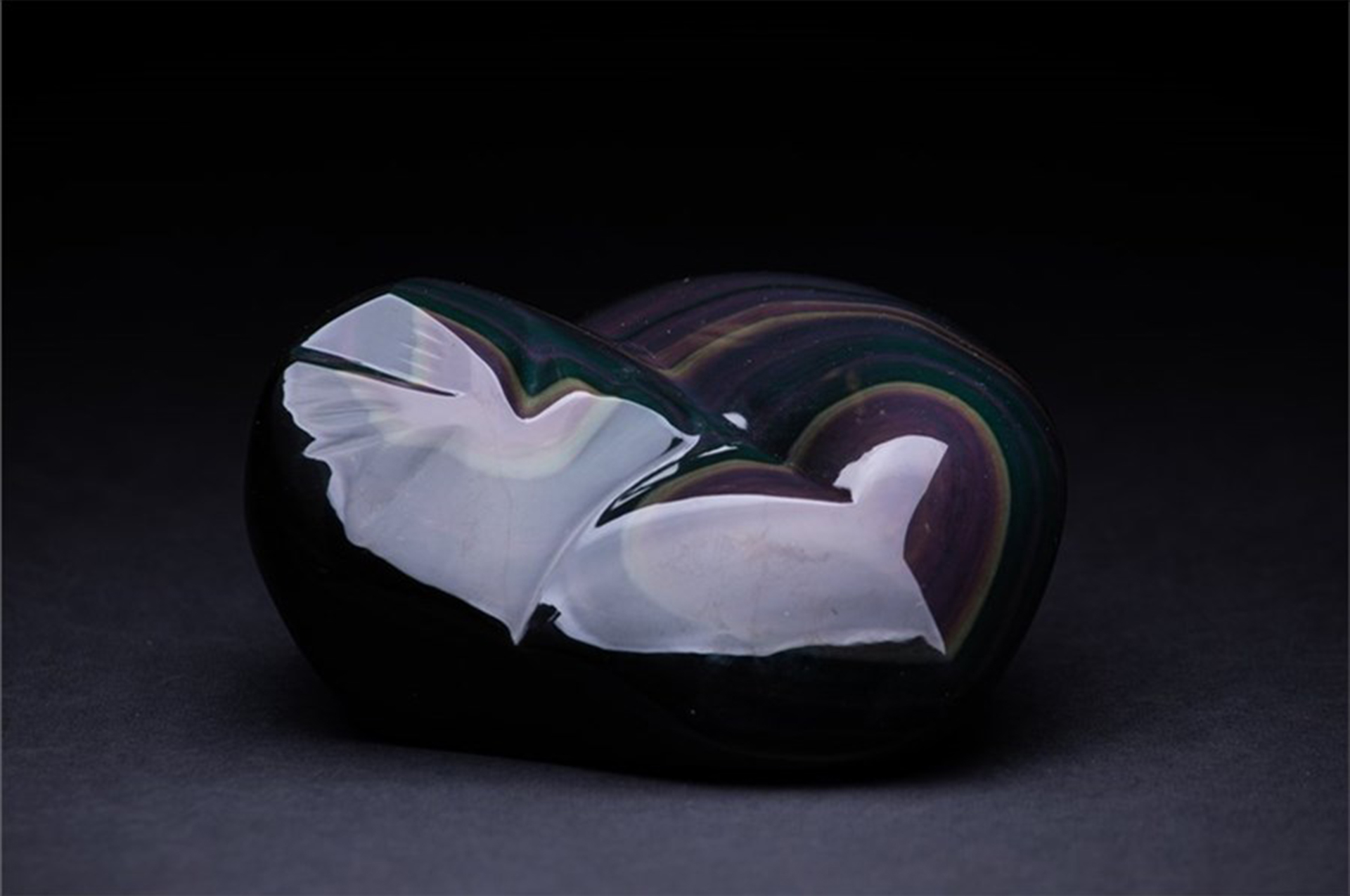 Илья Матушкин, фотокаталог музея GEOS